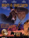 Brighty of the Grand Canyon
