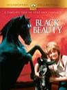 Black Beauty