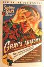 Gray's Anatomy