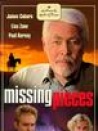 Missing Pieces