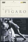 Noces de Figaro, Les