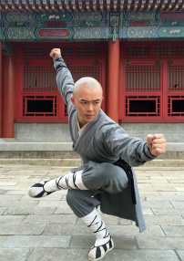 武僧传奇之终极一战