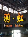 羽虹