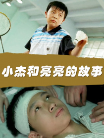 小杰和亮亮的故事