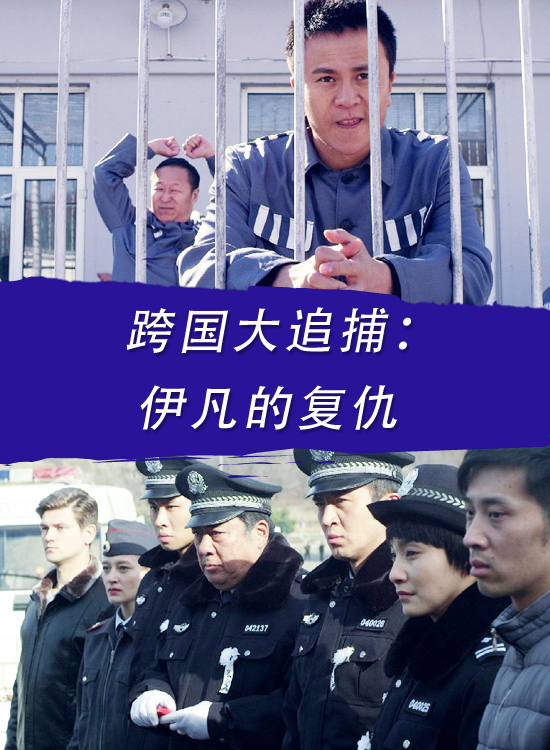 跨国大追捕：伊凡的复仇