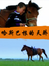 哈斯巴根的天骄
