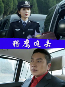 獵鷹追擊
