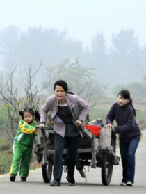 秋雨绵绵