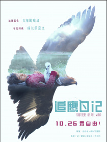 追鹰日记
