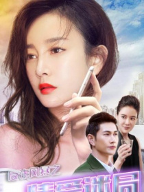 反詐風(fēng)暴之情愛(ài)迷局