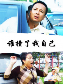 谁撞了我自己