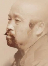 那樹(shù)楓