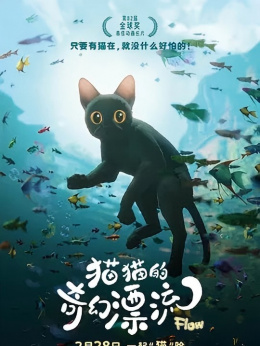 猫猫的奇幻漂流