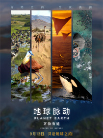 地球脉动：万物有道