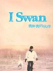 我和我的伙伴