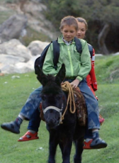 阿不都力瓦力·阿不都瓦依提