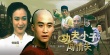 功夫小子闖情關海報