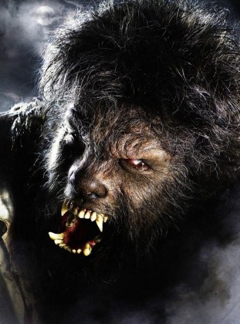 狼人剧照_电影剧照_图集_电影网_1905.com