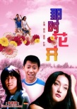 那時(shí)花開海報(bào)