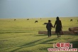这儿是香格里拉剧照
