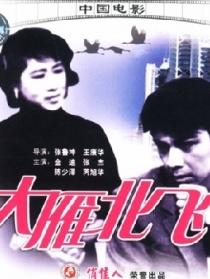 大雁北飞