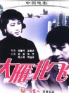 大雁北飛
