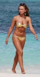 寒冬感受另类“酷暑” 2010欧美女星比基尼大赏
