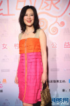 邬君梅渐变百褶裙亮丽出场 手提金色坤包显高贵