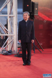 《肩上蝶》導(dǎo)演張之亮走紅毯 孤身一人面帶微笑