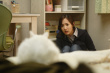 猫：看见死亡的双眼