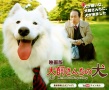 犬饲的小狗