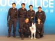 狗与警察