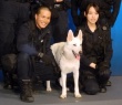 狗與警察