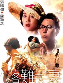 落难夫妻