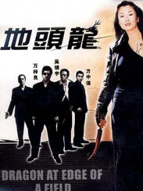 地头龙