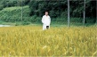 親愛的醫(yī)生