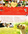 狗狗与你的故事