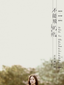 不能飞的鸟