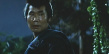 寅次郎的故事11 寅次郎勿忘我