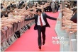 “跳跃最终章”群星首映礼 织田裕二直言像做梦