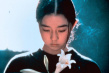 燕尾蝶