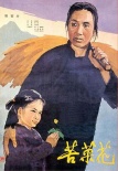 苦菜花
