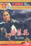 苦菜花