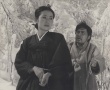 寡妇