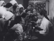 常绿树