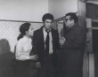 小島的尊嚴(yán)