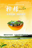檸檬