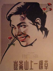 昆侖山上一棵草