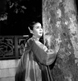 玉簪