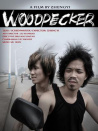 啄木鸟
